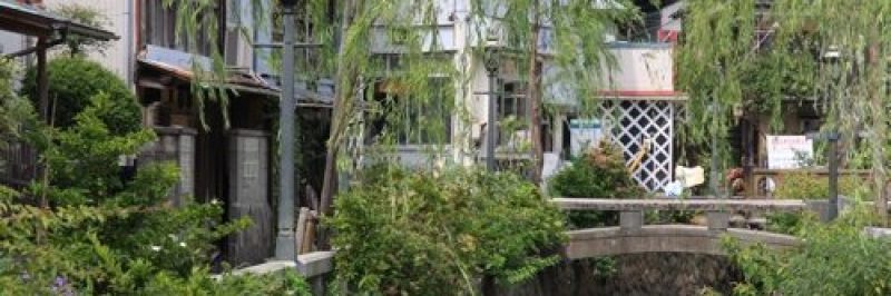 perry road shimoda