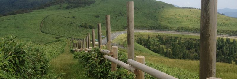 Izu landscape