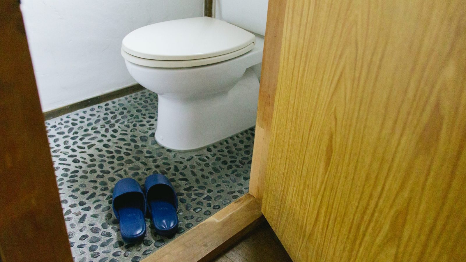 western toilet at coya cottage renal house shimoda