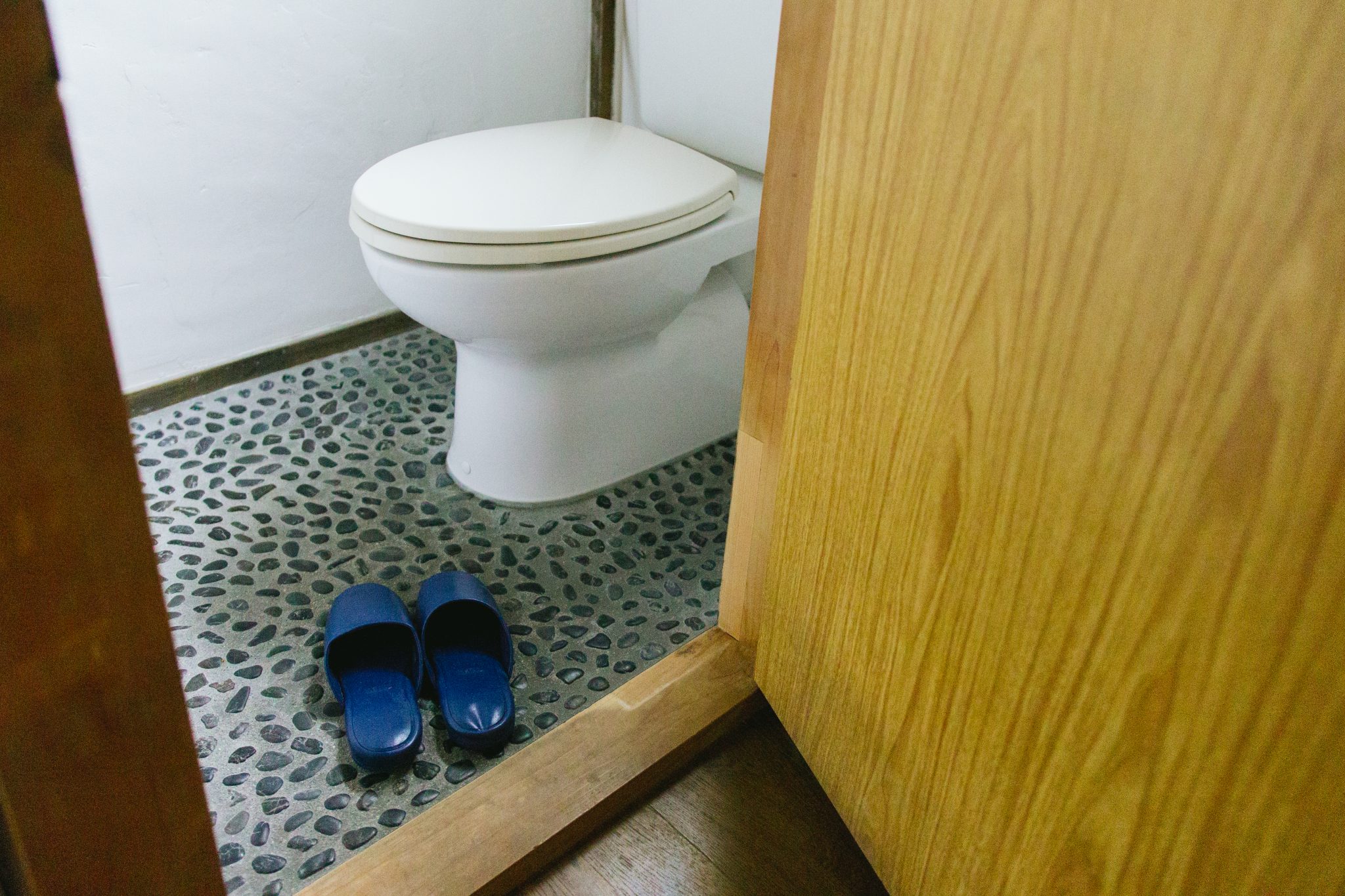 western toilet at coya cottage renal house shimoda